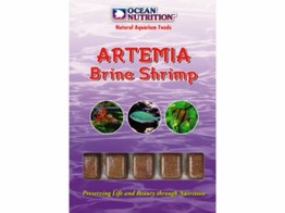 Artemia  100g