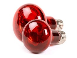 Infrared lamp 75 W incl.  0 0826 recupel
