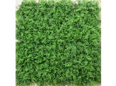 Green Fern mat/tapis 100x100cm