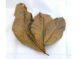 Dry almond leaves per 2 stuks/pieces  scanbaar/avec code barre 