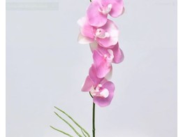 Phalaenopsis 44cm Roze/ Rose