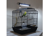 Arcadia PureSun Bird Lamp Kit with bracket  Mini  8 Watt incl. recupel  0 01
