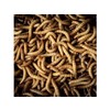 Diepvries meelwormen / Vers de farine congele par L