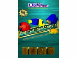 Frozen Pygmy Angel Formula  20 cubes  100g