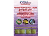 White Mosquito Larvae / Glassworms  20cubes   100g