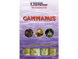 Gammarus  20 cubes  100g