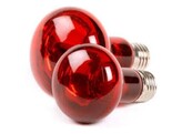 Reptech Infrared halogen lamp  70 watt R30 incl.  0 0826 rec
