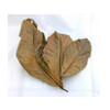Dry almond leaves per 2 stuks/pieces  scanbaar/avec code bar
