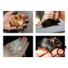 Kleurmuis special mix man