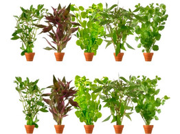 selection terracotta