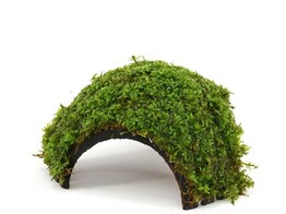 Cocosnootbrug