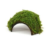 Cocosnootbrug