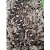 Pantherophis guttatus Cornsnake mixed morphs Nakweek / Eleva