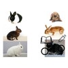 Lapin mix LUXE 2 sexes C   V