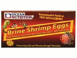 Artemia/Brine Shrimp Eggs  box   50g